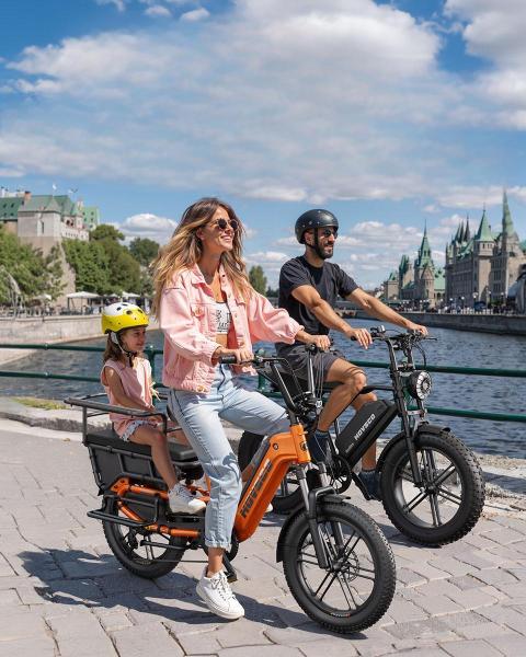 German Warehouse HovCart EU/US/AU Stock Electric City Cargo Bike for Two Children with Protection Seat Torque Sensor Fat Tire