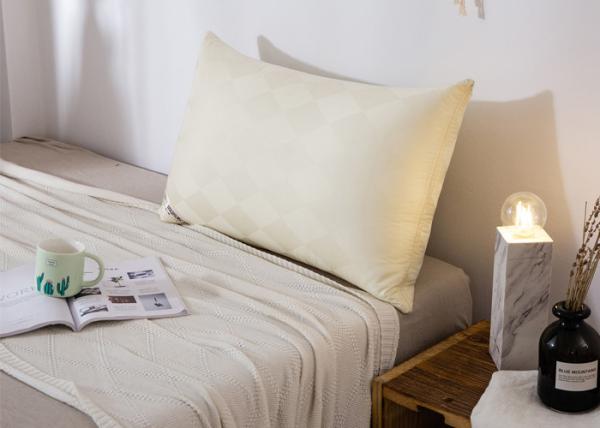 48*74cm Hypoallergenic Cotton Down Pillows