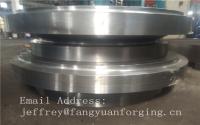 F5a Alloy Steel Metal Forgings  / Body Forged Steel Valves  / Rod Forgings
