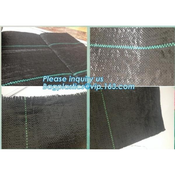 Плантатор сада пластмассы полиэтилена ЛДПЭ кладет в мешки для овоща, дерева и саженец цветка, ЛДПЭ пластмассы отверстия 15 ГАЛЛОНОВ растет б