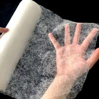 Web adhésif de collage non-tissé de fonte chaude de PA de tissu pour la stratification de vêtement