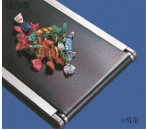 50HZ Stainless Steel Belt Conveyor