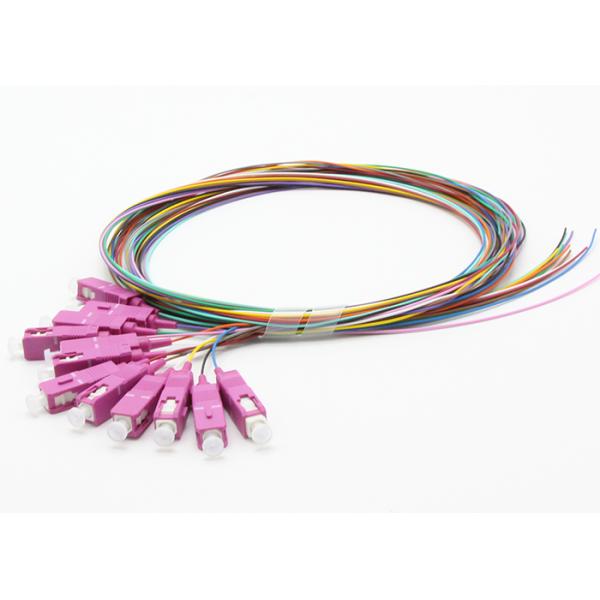 SC OM4 2m  Fiber Optic Pigtail  900um 12F 12 Colors OM4 50 / 125μm Loose buffer LSZH easy to strip