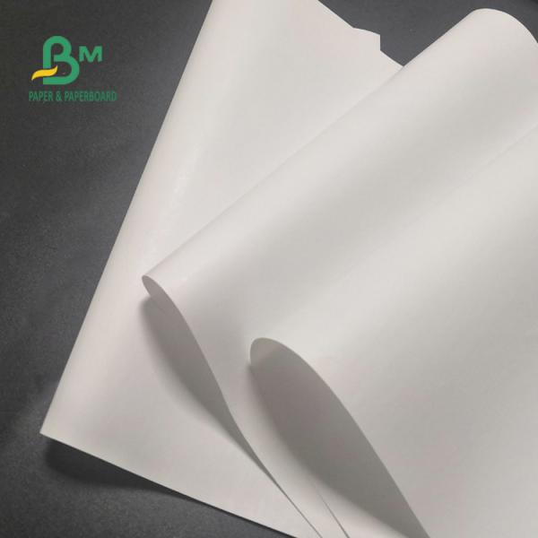 petit pain libre de papier thermosensible de 65gsm BPA pour l'image claire 600mm x 9000m de caisse enregistreuse
