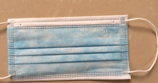 2018 hot sale Hospital Disposable Face Mask For Food Service