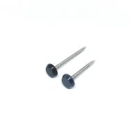 Le chef SUS316 de plastique gris cloue avec Ring Shank Shark Point annulaire