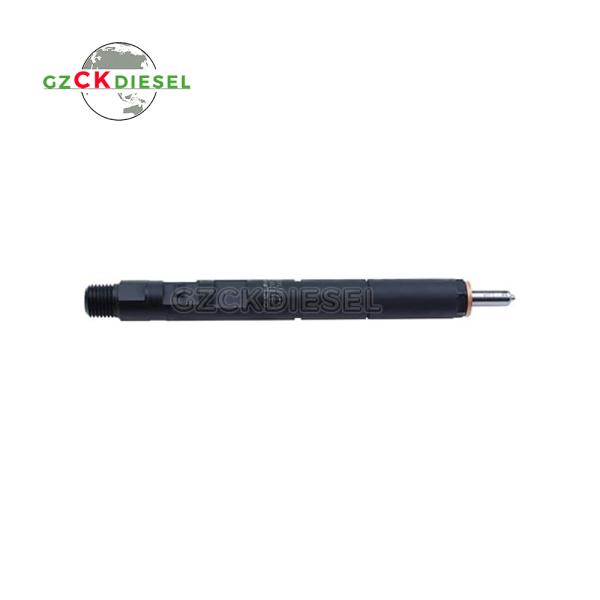 Diesel Fuel Injector EJBR04001D 166009384R for Delphi Engine