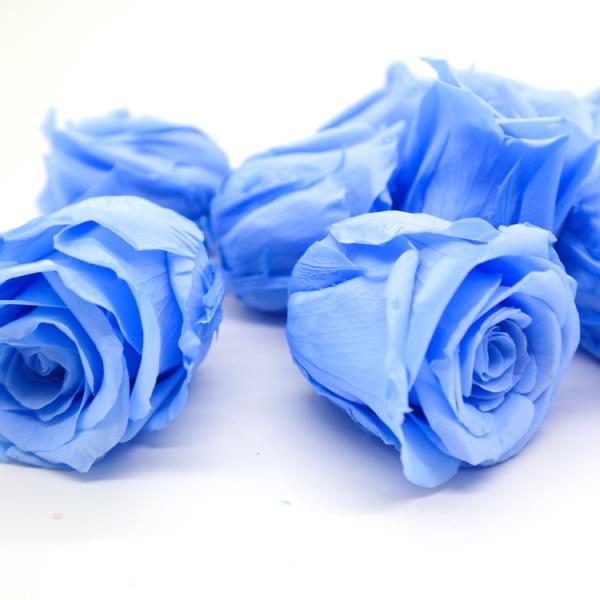 Beautiful Long Living Preserved Rose Heads Easy Care No Need Water