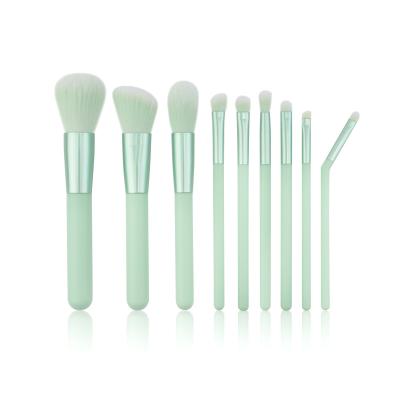Escovas plásticas da composição do OEM do curso portátil 9pcs