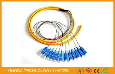Fuga da trança da fibra óptica do SC do núcleo da indústria 12, fibra G652D de Corning da trança do SC da manutenção programada LSZH de FTTH