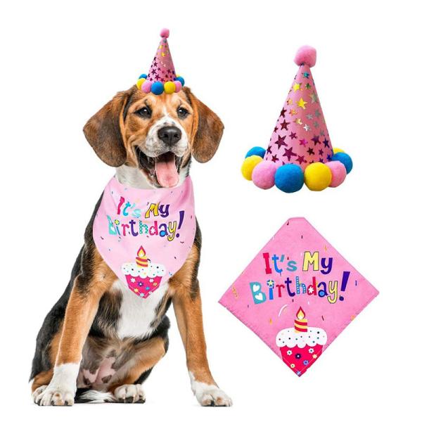 Dog's Birthday Party Supplies Pull Flag Hat and More Get Ready Celebrate