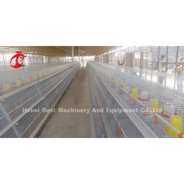 Клетка для выращивания птицы Птицефабрика Брудер Оборудование для выращивания Sandy