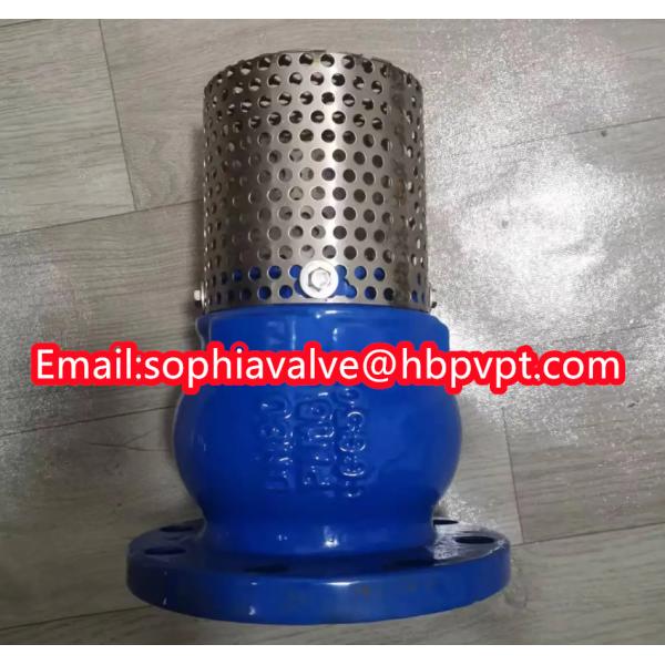 JIS ANSI 125LB cast iron flanged foot valve