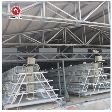 Холодно оцинкованные птицеводческие клетки для бройлеров