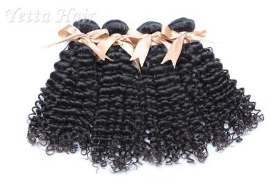Extensões encaracolado do cabelo do Virgin do Mongolian perverso do Weave nenhum cheiro terrível