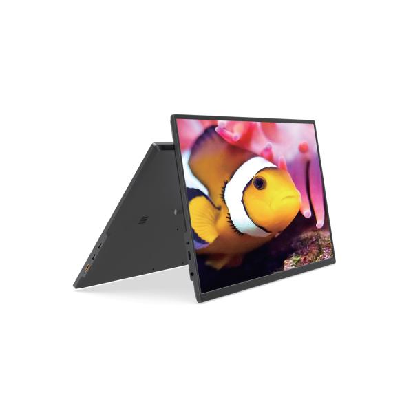 17.3 FHD Portable Monitor 100% sRGB Color, Large Dual-View Display