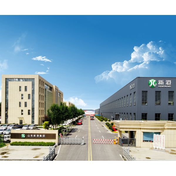 Shandong Xingang Group 