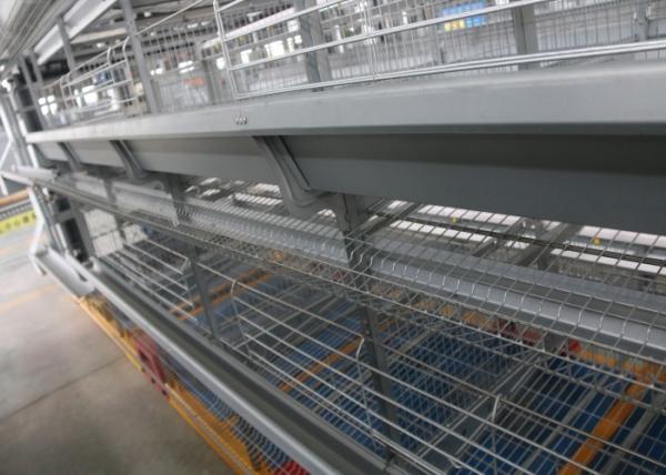 Battery Layer Poultry Farming Equipment Chicken Cage For Laying Eggs