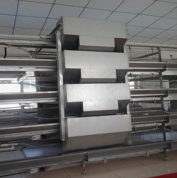 Fully Automated Poultry House Equipment with 50-Year Service Life and Food-Grade Drinking Fountain System