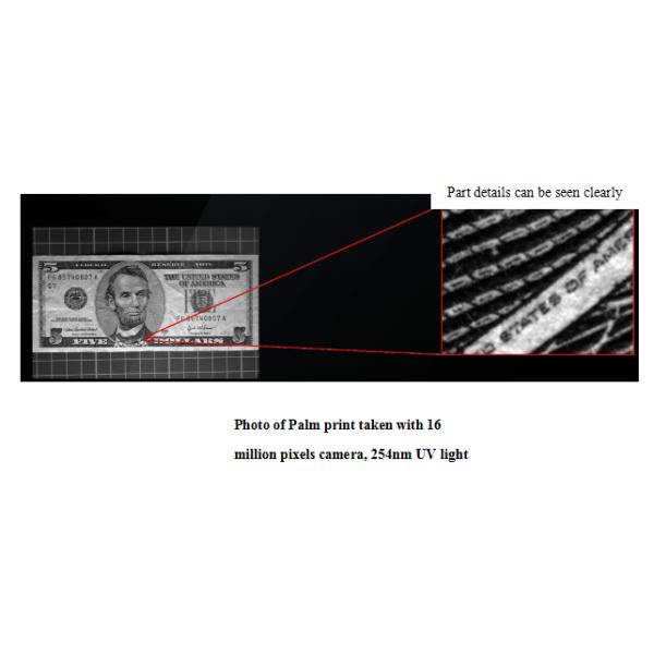 High Sensitive Forensic Equipment , Full - Wave CCD Evidence Camera With SD Card Storage