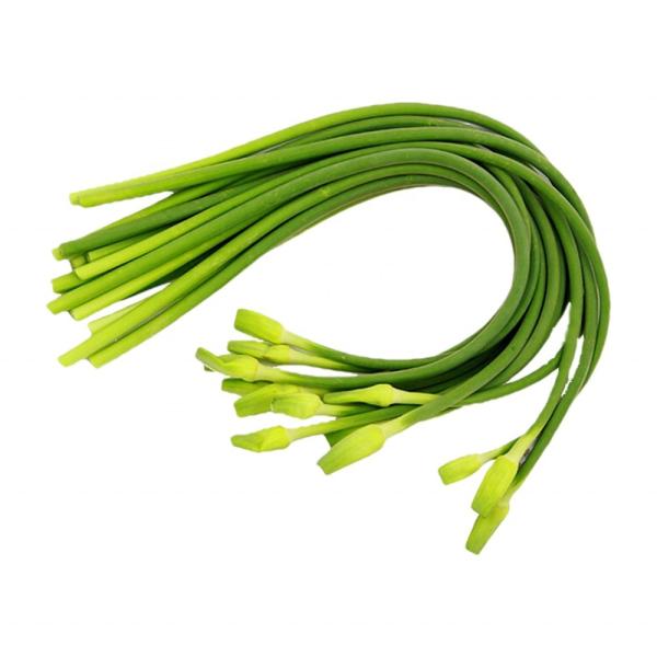 Fresh Garlic Shoot in new crop Chinese Garlic Stem Sprout