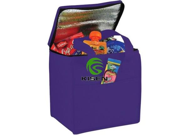 Large Insulated Cooler Bags Durable For Ourside Picnic Custom Logo Print