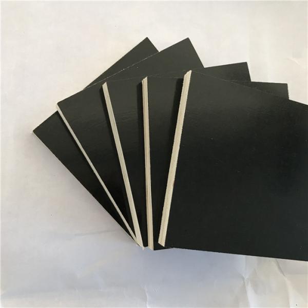 Poplar / Pine / Birch Core Laminated Plywood Sheets Customized Color
