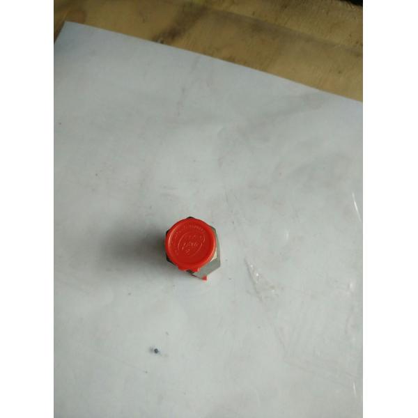 Anti explosion valve for XCMG truck mounted crane SQ10ZK4Q,XCMG truck crane spare parts