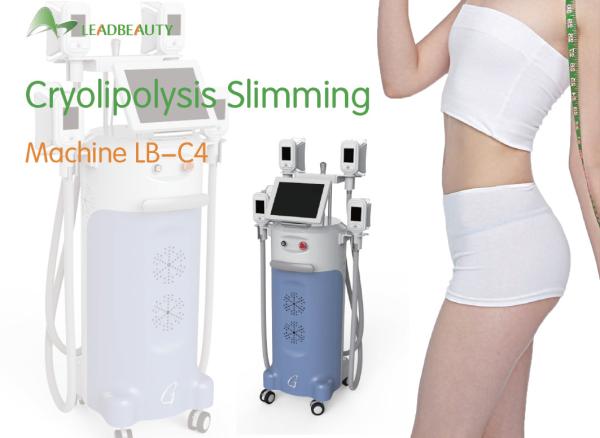 cryolipolysis vacuum device/ machine/ equipment looking for distributors