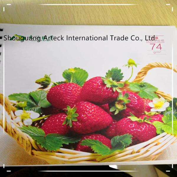 55-98gsm Culture Paper/Uncoated Paper Sheet/Reel Size with 3or-4% Grammage Variation