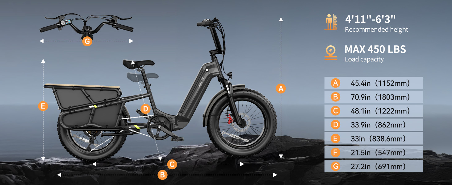Hot Sale Carbon Steel Frame 7-Speed Double Lithium Battery 20 Inch Hydraulic Disc Brakes 48V/250W Rear Hub Motor Cargo Bike