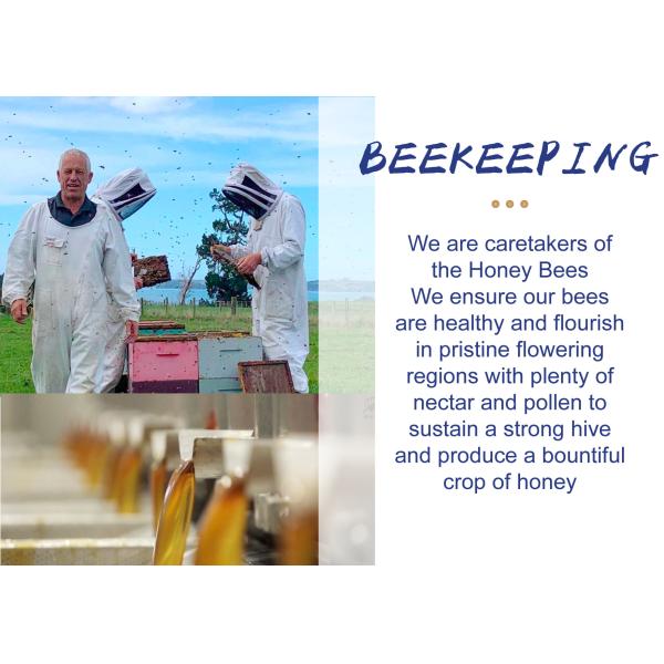 Pure Natural Honey MGO100+ Natural Manuka Honey Bee Product 290kg from New Zealand