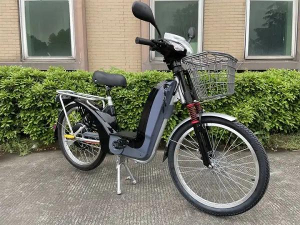 48V 12Ah 350W Electric Cargo Bike For Adults Power Supply Lead Acid Battery