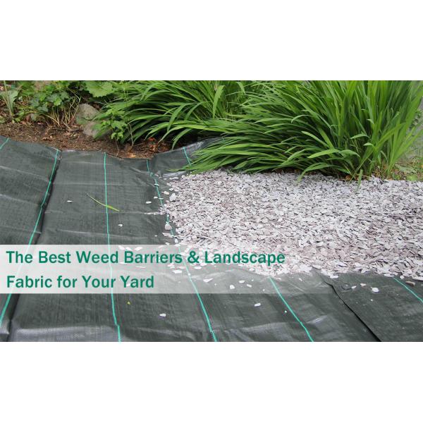 Heavy Duty Weed Barrier Landscape Fabric For Outdoor Gardens, Non Woven Weed Block Fabric Landscaping Fabric Roll