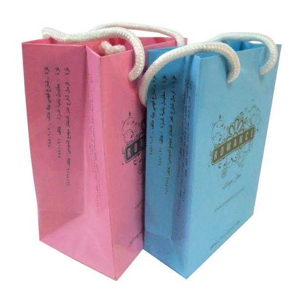 Service d'impression de réutilisation coloré le meilleur marché fait sur commande de sac de transporteur de papier pour l'achat