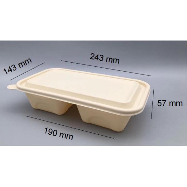 1000ML Food Safe 2 Compartment Degradable Lunch Box For Food Separation
