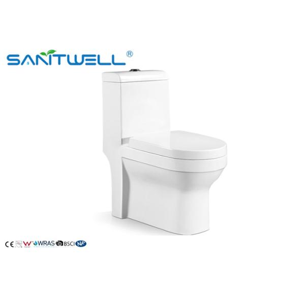 Туалет элегантного дизайна керамический с двойной топя системой водообеспечения СВК2811