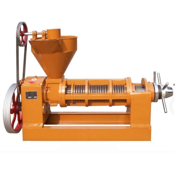 Large Capacity Stainless Steel Soya Bean Oil Processing Machine for South African Food Manufacturing Industry