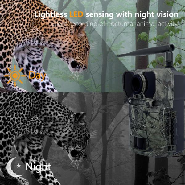 30MP Deer Trail Camera Megapixel Sensors Waterproof IP65 With SDHC Card
