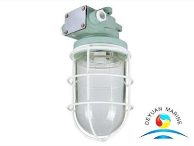 DS7 Series Marine Electric Equipment Work Light Ceiling Type 220V