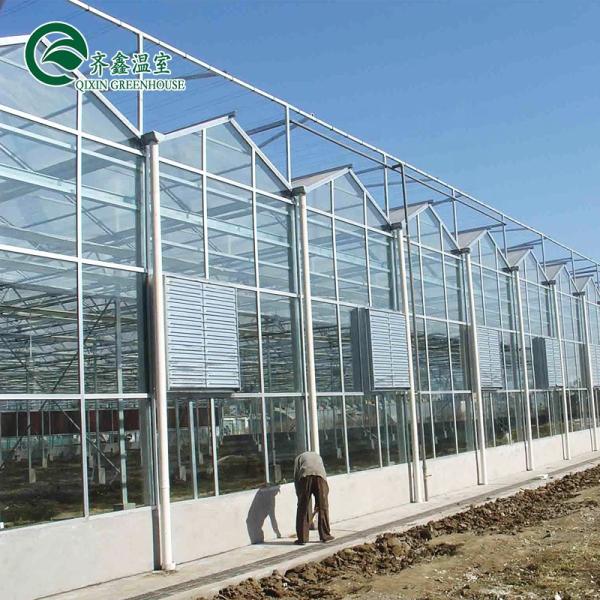 Glass Greenhouse Ventilation System with Tempered Glass or PC Sheet Top Covering