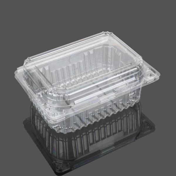 Transparent Big Clamshell Disposable Plastic Food Box