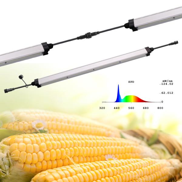IP65 Microgreen Full Spectrum LED Grow Light Tube For Indoor Growing Plants