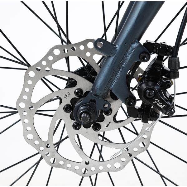 Bicicleta eléctrica plegable de 20 pulgadas 36v 6 SPEED Batería de litio extraíble para ciclismo al aire libre