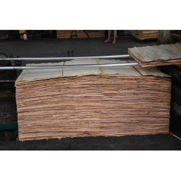 18mm used core face film faced plywoods sheet prices for Construction