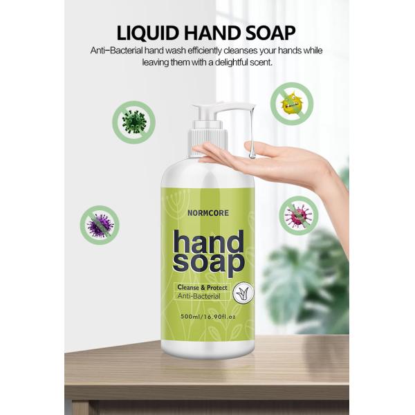 EU Qualified Hotel Hand Wash , Essentical Oil Coconut Hand Soap Liquid 300ML