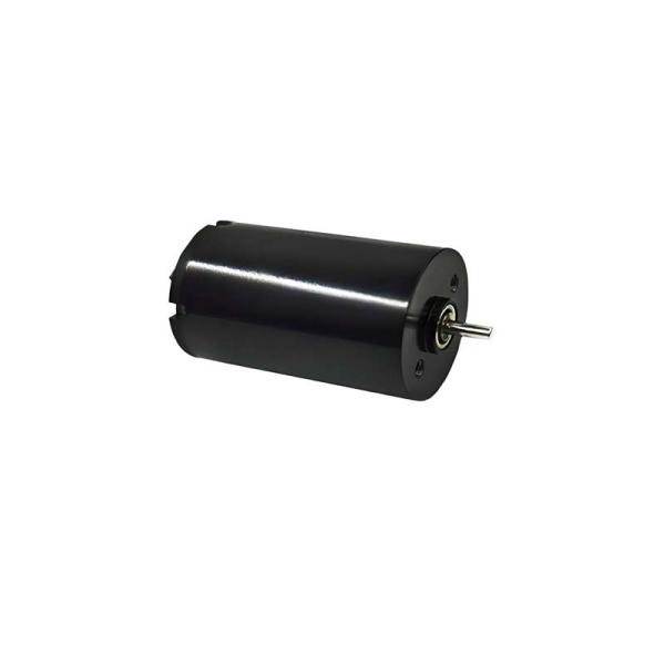16mm Brushed DC Motor 1.57 Watt 9980rpm Electric Brush DC Motor 24V Customizable