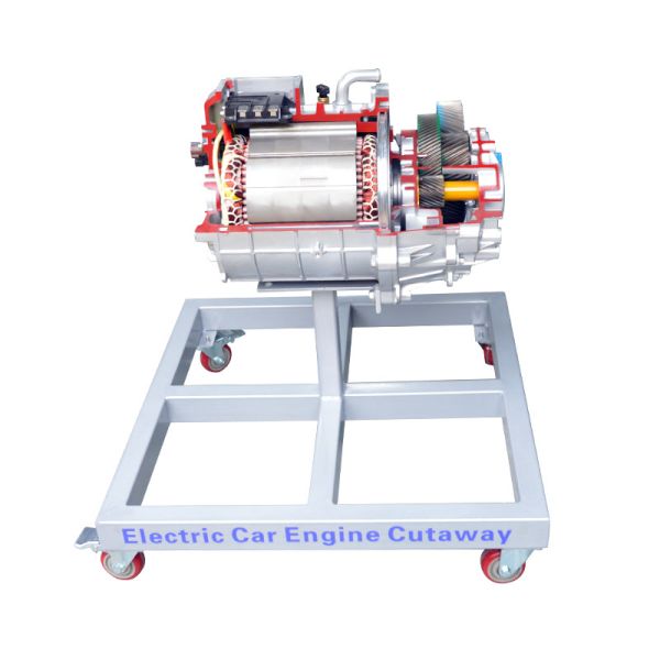 Anatomical Model of Drive Motor Educational Equipment