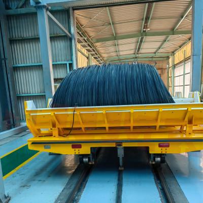 10 Tons Customized V-Shaped Frame Automated RGV