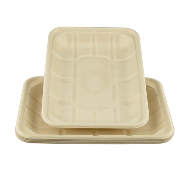 Sugarcane Bagasse Compostable Paper Food Tray 8*6inch  eco-friendly 100% biodegradable